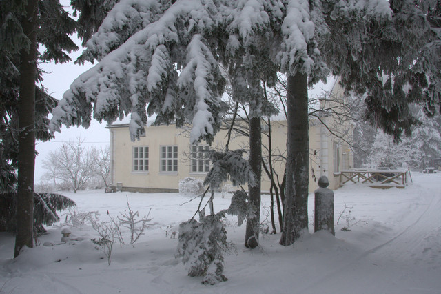 pihaan 2010