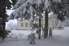 pihaan 2010