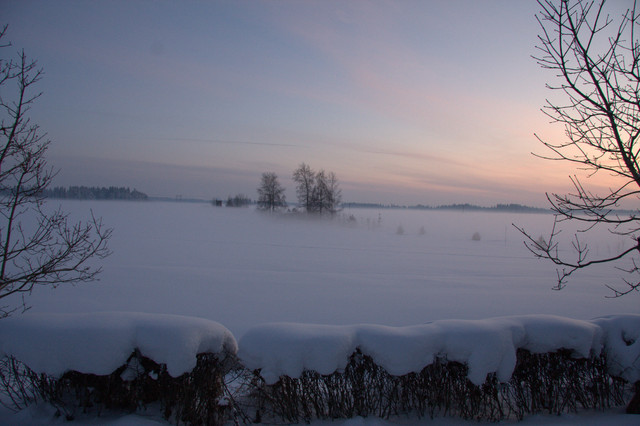 helmikuun lumi 2010