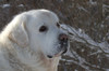 sivu 2010