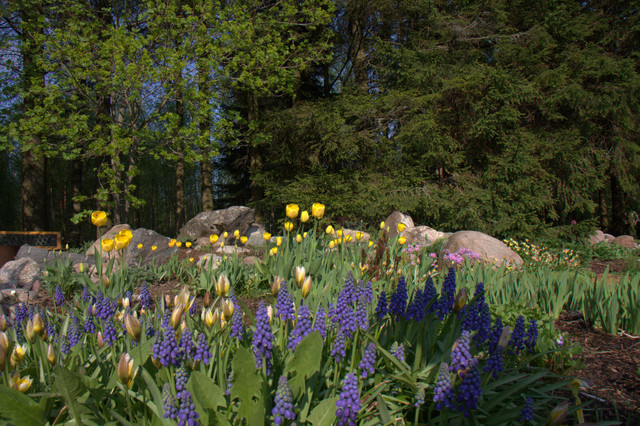 pitkäpenkki