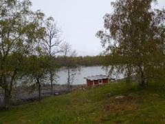gullvivan_2