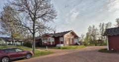 gullvivan_4
