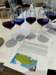 p-amerikan_viinien_maistelu_9_2025_2