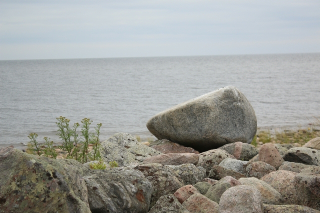 Iso kivi meren rannalla