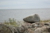 Iso kivi meren rannalla