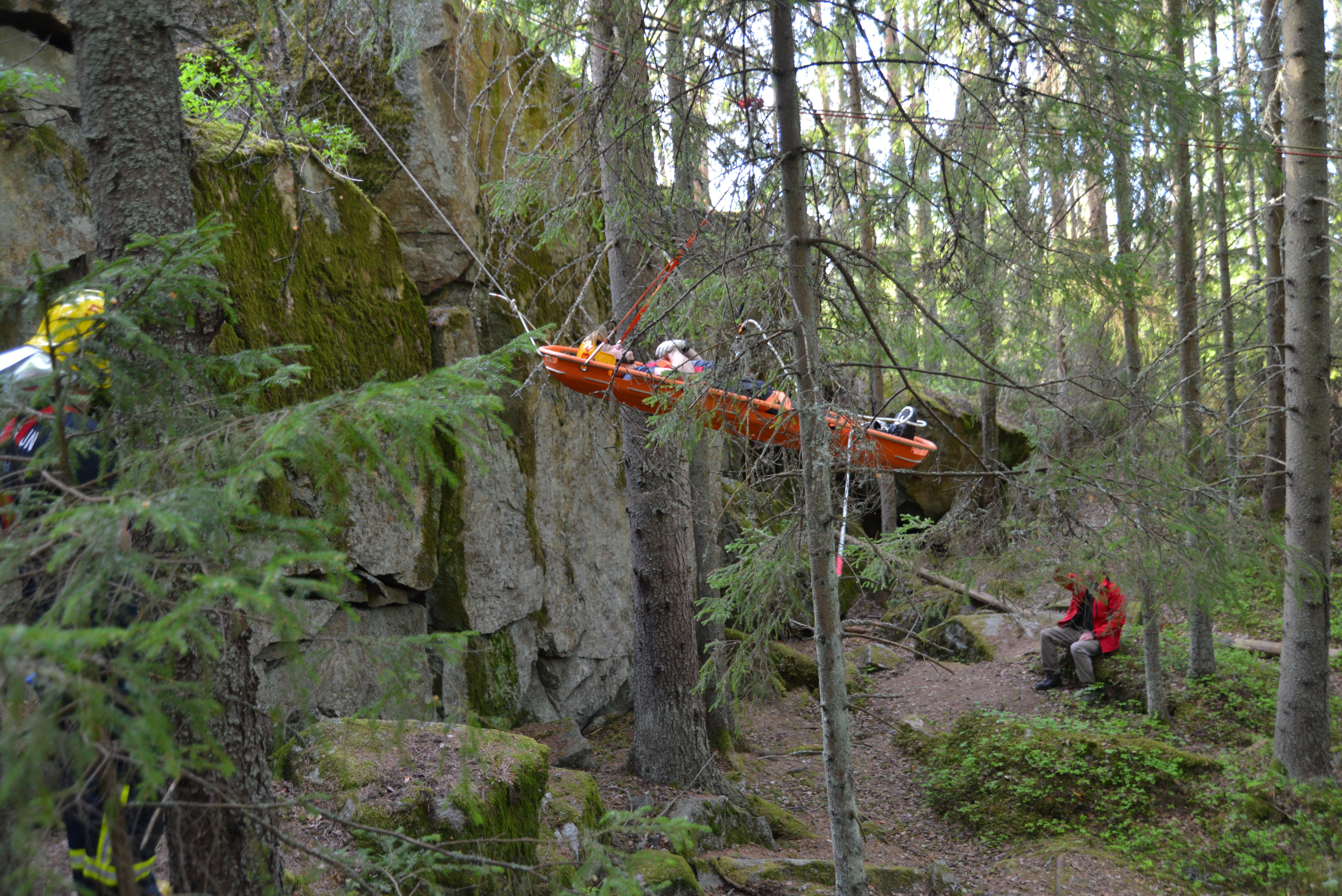 Image 11