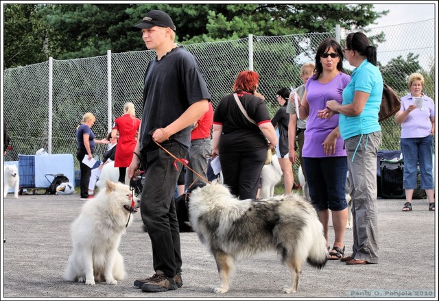 Koska on meidän vuoro