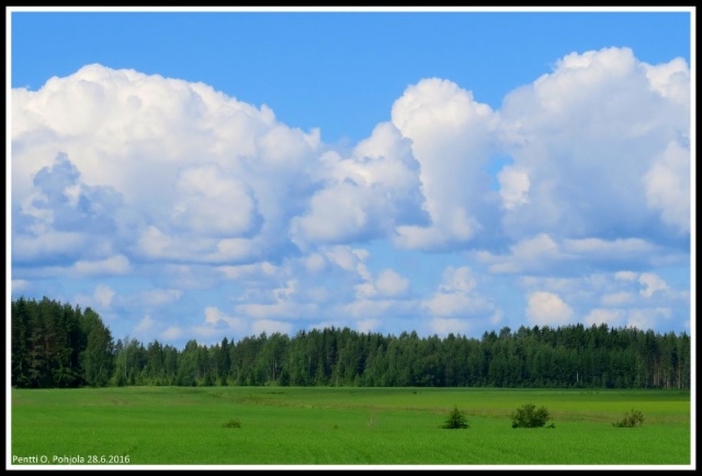 Kesapäivä