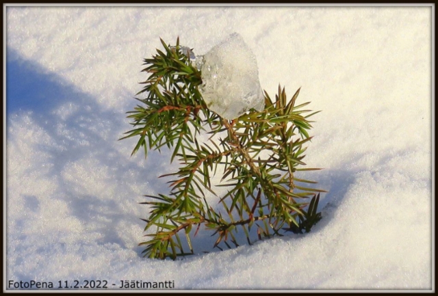 Jäätimantti