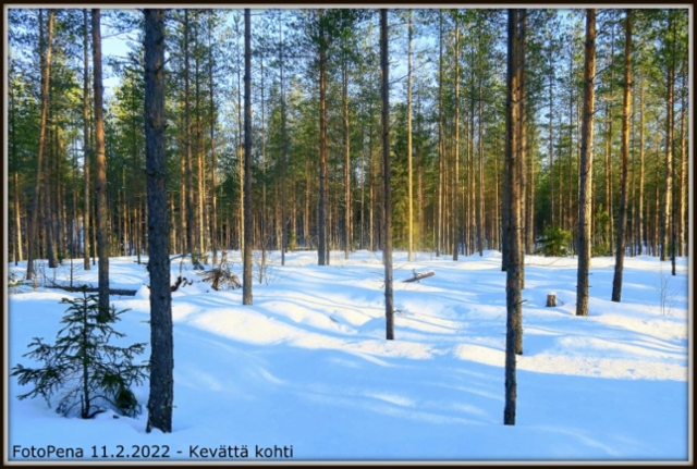 Kevättä kohti