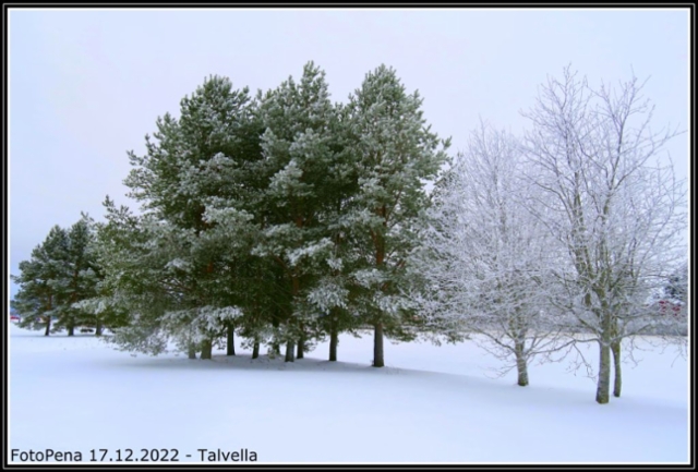 Talvella