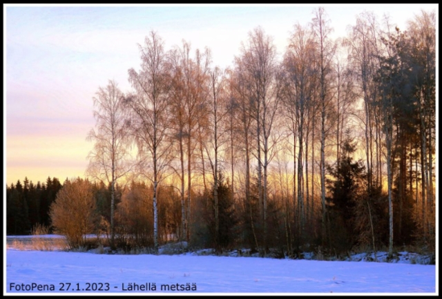 Lähellä metsää