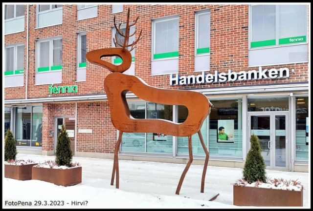 Hirvi?