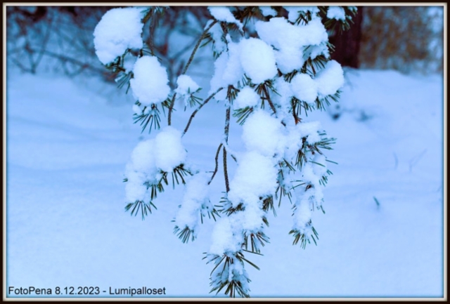 Lumipalloset