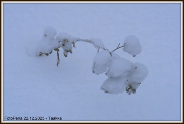 Taakka
