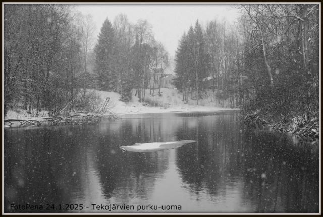 Tekojarvien purku-uoma