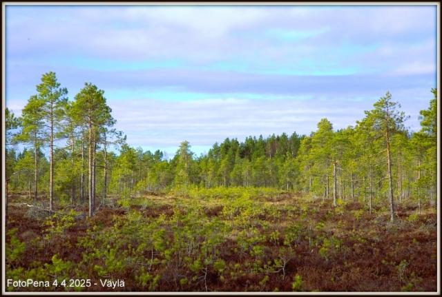 Väylä