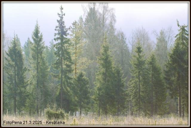 Kevataika