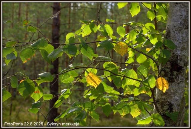 Syksyn merkkejä