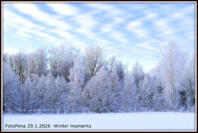 Winter moments