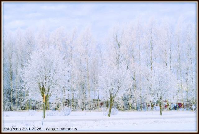Winter moments