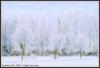 Winter moments