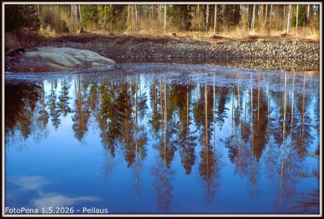 Peilaus