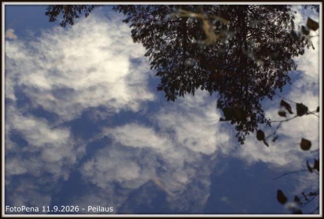 Peilaus