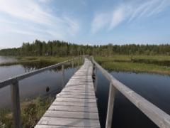 0470d3a7-60cb-490e-ab3d-f4f0df5913de