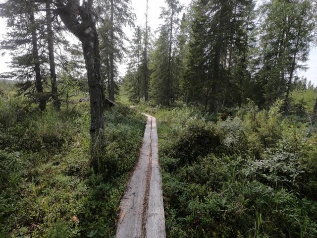 d991b54b-864b-4206-ba54-579d0a121f29