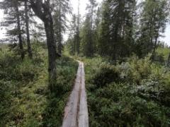 d991b54b-864b-4206-ba54-579d0a121f29