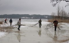 Vähän kerrallaan puutavara siirtyy rantaan