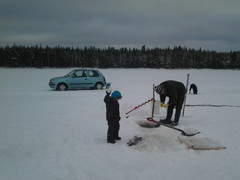 pankaj&auml;rvi 25.1.14