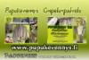 Talvitakin nepparit 
