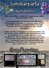 Sommarpärla Havetsblomma 