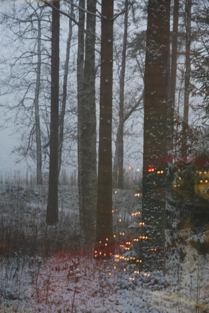Korpijärvi peittyy usvaan ja lumeen. Ikkunaan heijastuvat jouluvalot herättävät joulutunnelman odotusta.