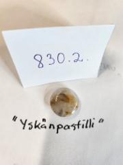 830.2 - lis&auml;kuva