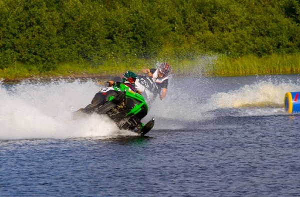 vesicross1