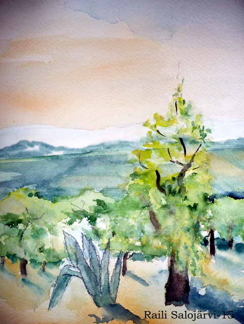 Kaktus ja oliivipuu maisemassa