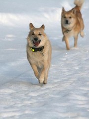Aina iloinen 10kk