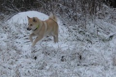 Myyr&auml;hyppy 9kk