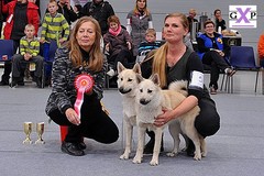 Lahti 20.10.2013 BIS-1 pari (August&Alma)(c)Pawdium