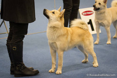 9kk H.ki Winner -13 ROP(c) Kuvauksellista.com