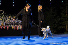 H.ki Winner iso keh&auml; (c) Kuvauksellista.com