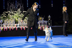 H.ki Winner-13 iso keh&auml; (c) Kuvauksellista.com