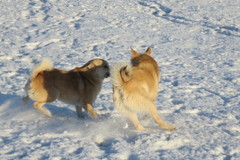 Ruso & August 1/2014