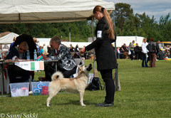 Kotka int 15.6.-14