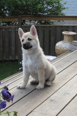 Luca 2.7.-14