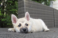 Luca 2.7.-14
